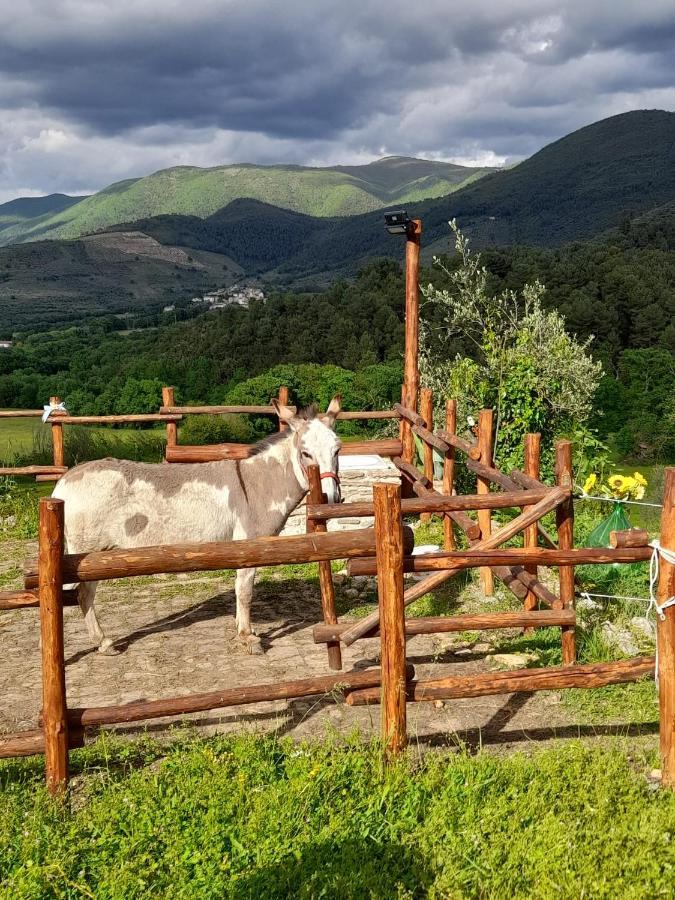Volver B&B Spoleto Eksteriør billede
